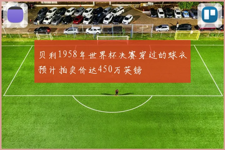 贝利1958年世界杯决赛穿过的球衣预计拍卖价达450万英镑
