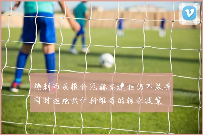 热刺两度报价范赫克遭拒仍不放弃同时拒绝武什科维奇的转会提案